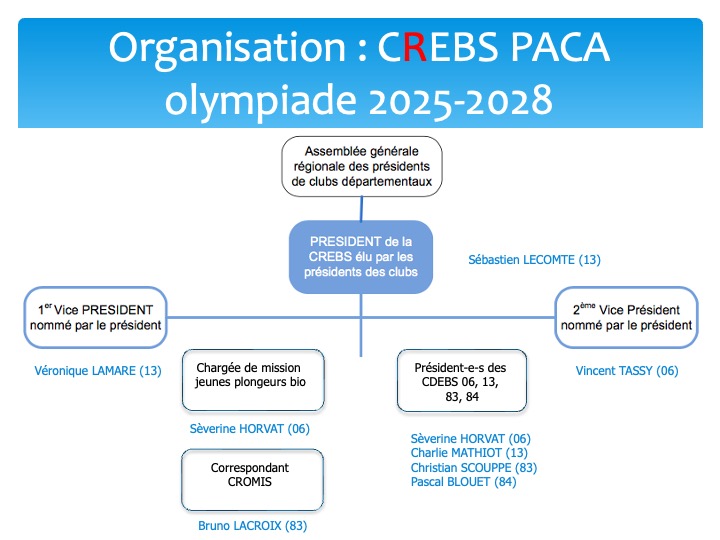 organigramme CREBS 2025 2028 2